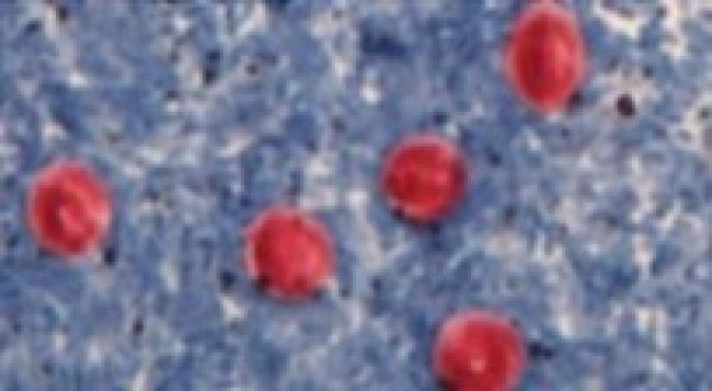 Gastrointestinal parasitic infections in immigrant and refugee children