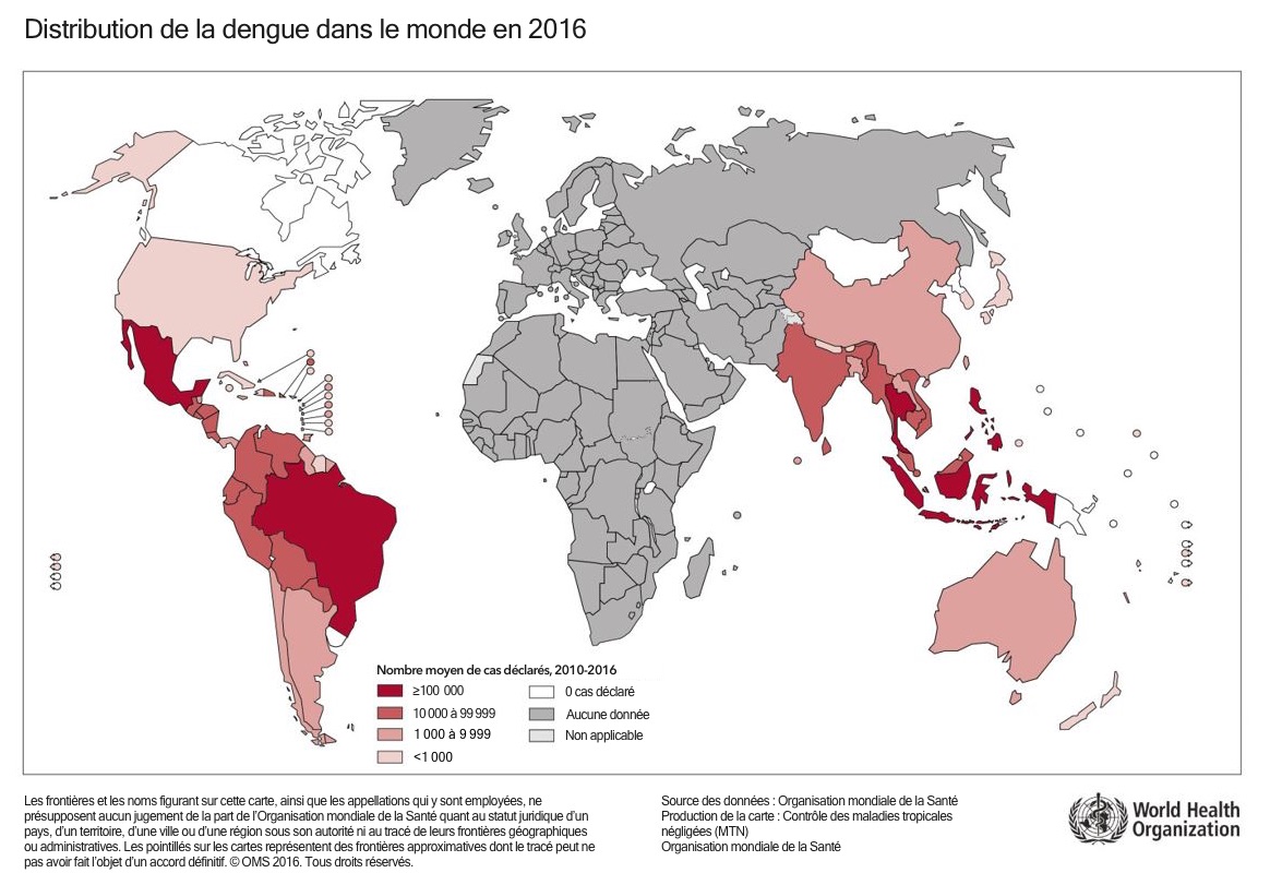 Figure 2 : Distribution du risque mondial de dengue, OMS 2012(4)